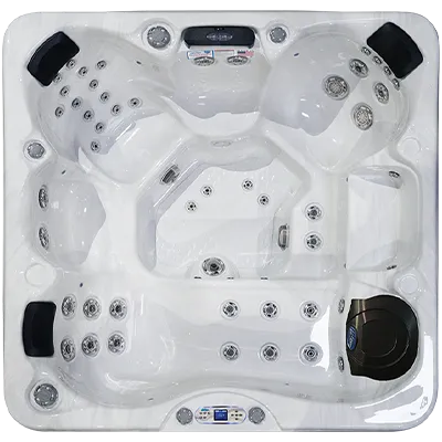 Avalon EC-849L hot tubs for sale in Clearwater