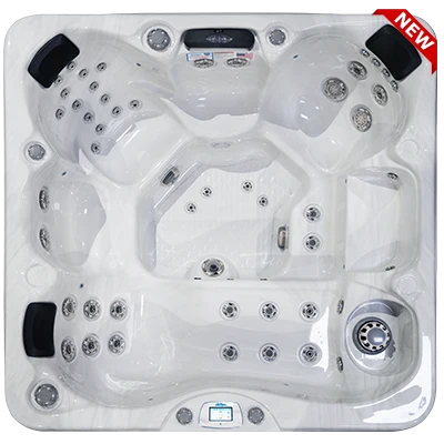 Avalon-X EC-849LX hot tubs for sale in Clearwater