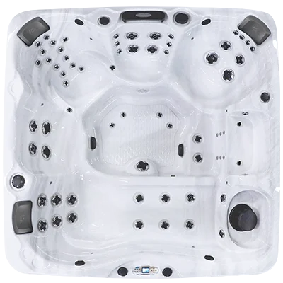 Avalon EC-867L hot tubs for sale in Clearwater