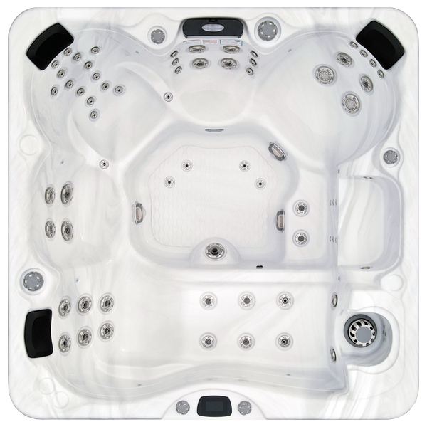 Avalon-X EC-867LX hot tubs for sale in Clearwater