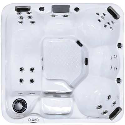 Hawaiian Plus PPZ-634L hot tubs for sale in Clearwater