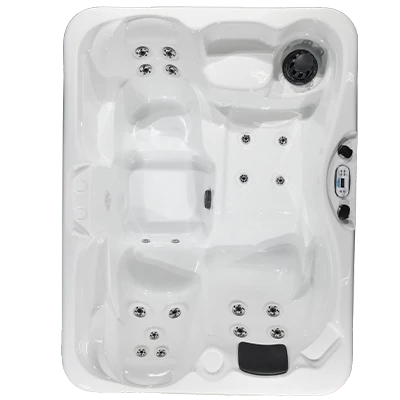 Kona PZ-519L hot tubs for sale in Clearwater