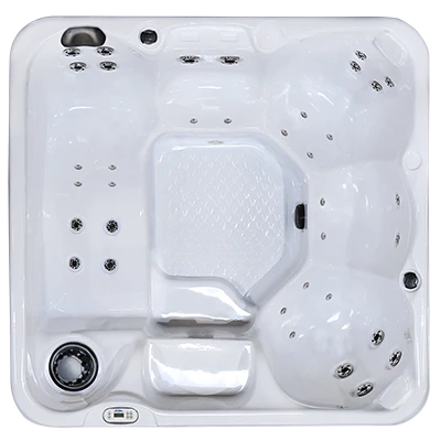 Hawaiian PZ-636L hot tubs for sale in Clearwater