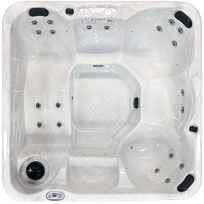 Hawaiian PZ-620L hot tubs for sale in Clearwater